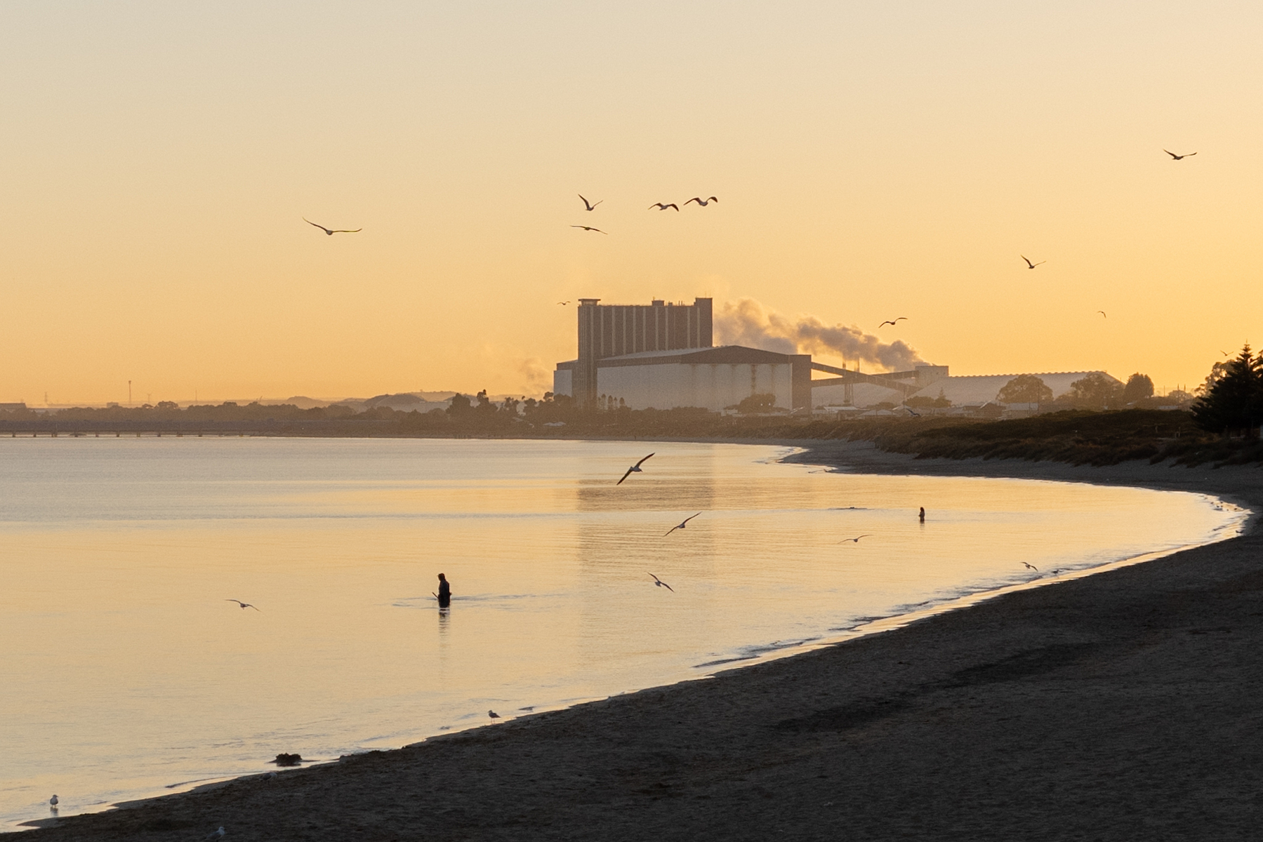 A serene sunrise blankets the sky, casting a golden hue over the beach where birds fly and a lone figure stands near the water's edge, with industrial structures and smokestacks looming in the background.