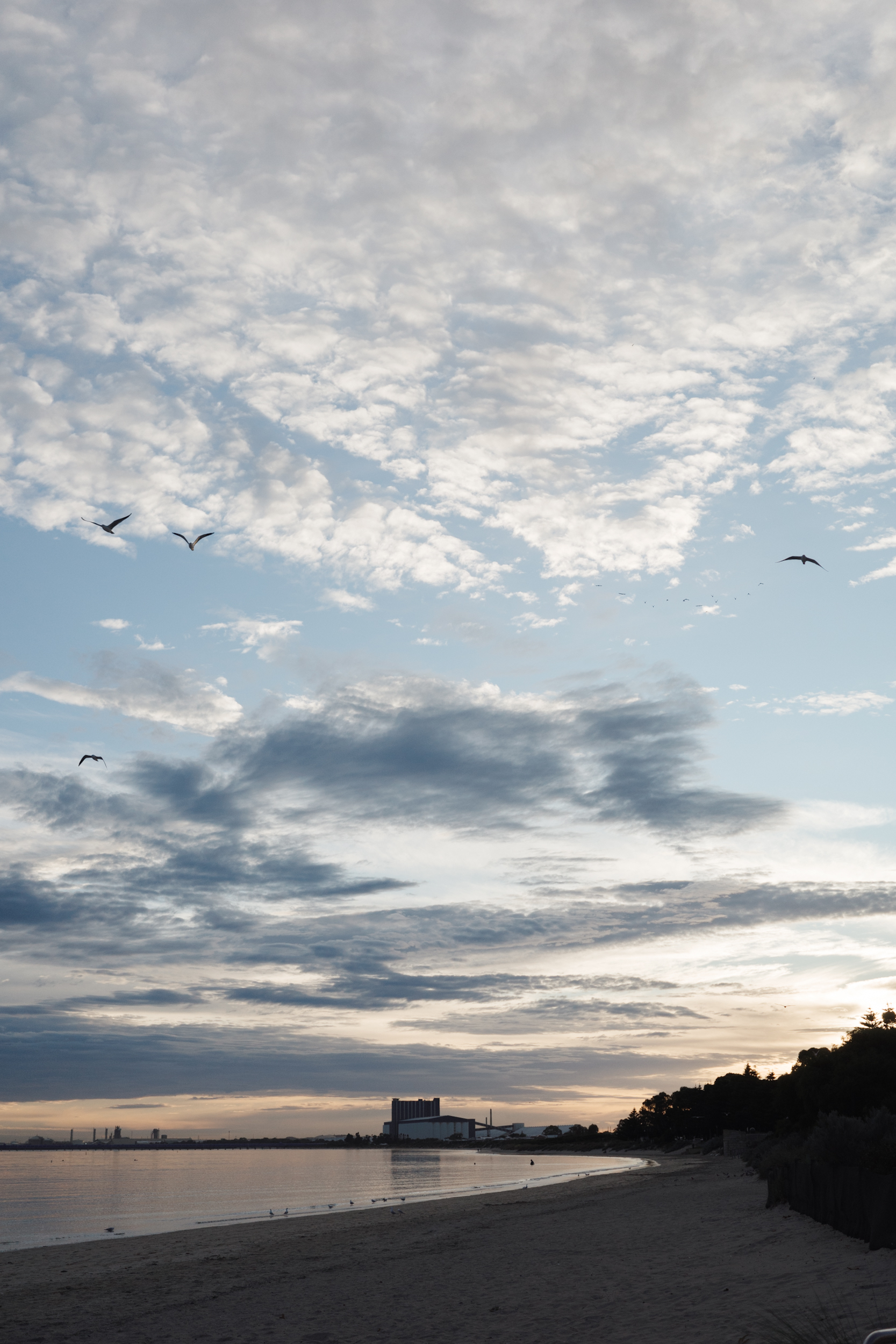 Auto-generated description: A serene beach scene with a vast sky filled with clouds, birds flying overhead, and an industrial structure in the distance.